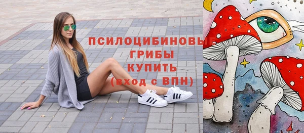 дмт Алексин