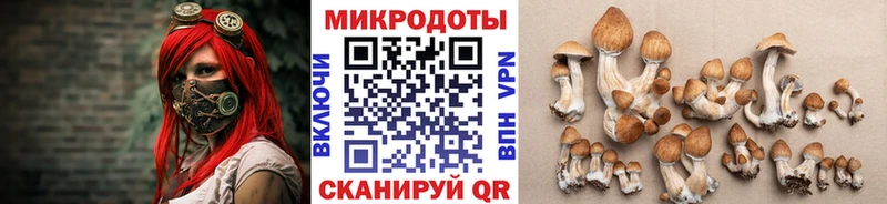 цена   Цоци-Юрт  площадка официальный сайт  Галлюциногенные грибы Magic Shrooms  kraken рабочий сайт 
